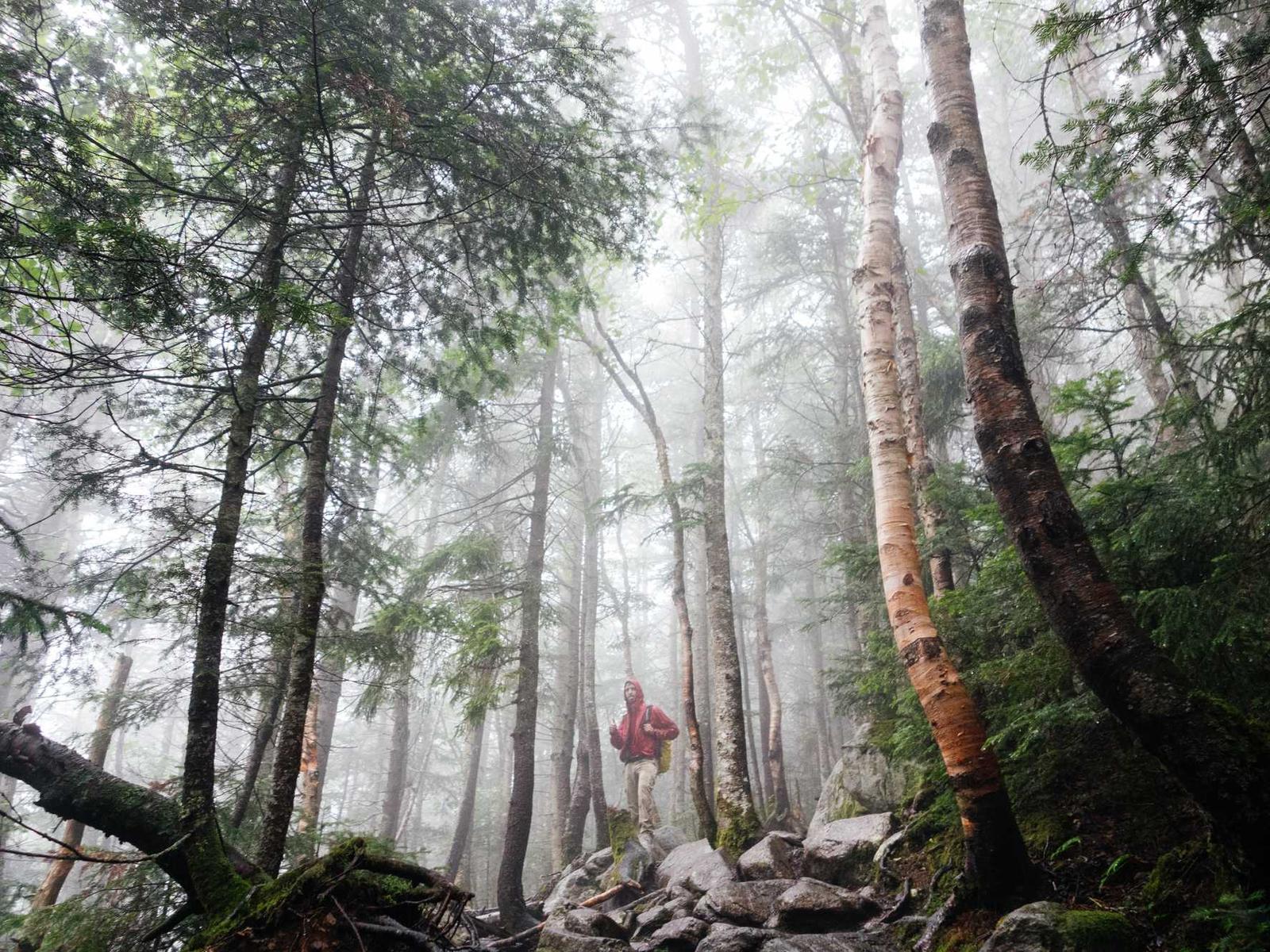 Voluptatem omnis tenetur architecto laboriosam tenetur ipsam dolorum